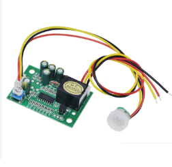 MODULO PIR CON RELEVO  12V