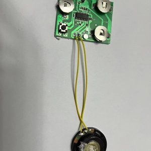 MODULO GRABADOR DE VOZ