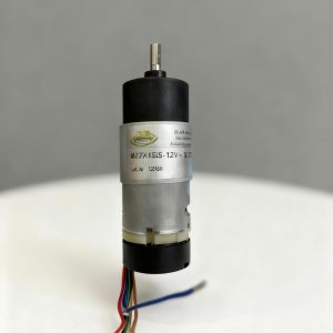 MOTOR CON ENCODER 200RPM 12V